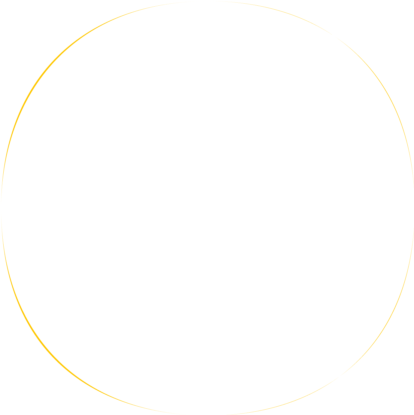 ngo background